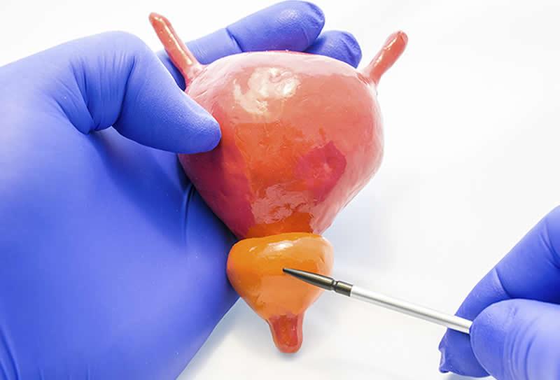 A Importância dos exames de imagem no diagnóstico 