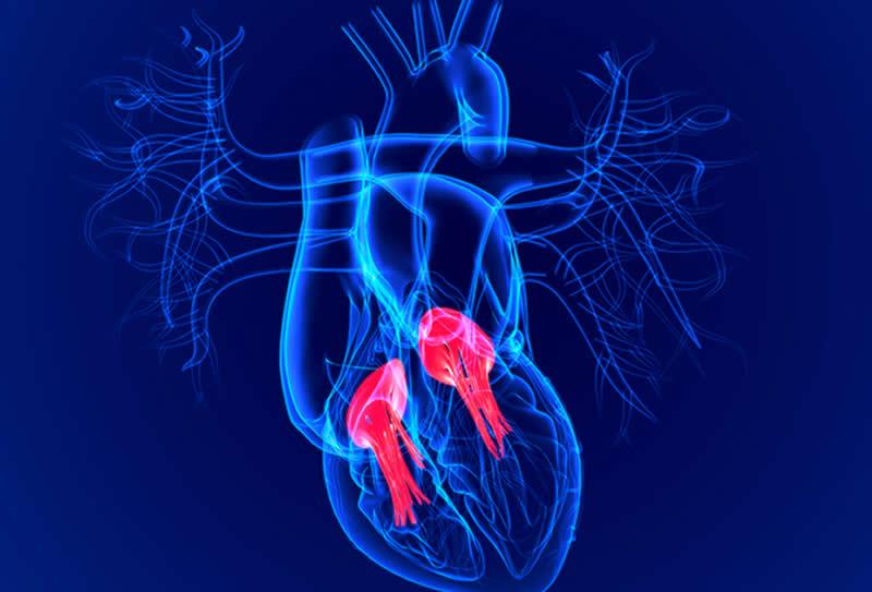 Exames de imagem para identificar doenças cardiovasculares
