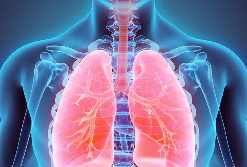 Exames de Imagem que ajudam a diagnosticar doenças pulmonares