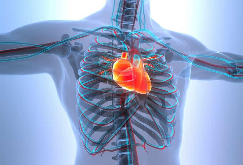 Exames de imagem para o avaliação do coração